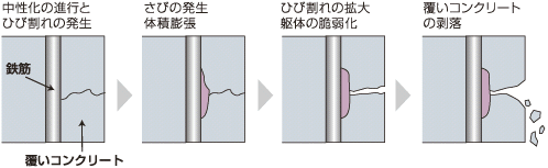 イラスト：内部鉄筋の発錆や腐食